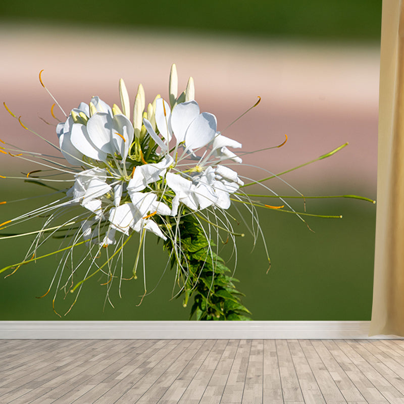 Flower Blossom Mural Wallpaper Modern Wall Covering for Sitting Room, Made to Measure