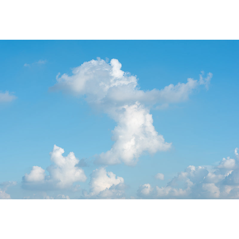 Beautiful Cloud Murals Modern Wall Decoration in Blue and White, Custom Made