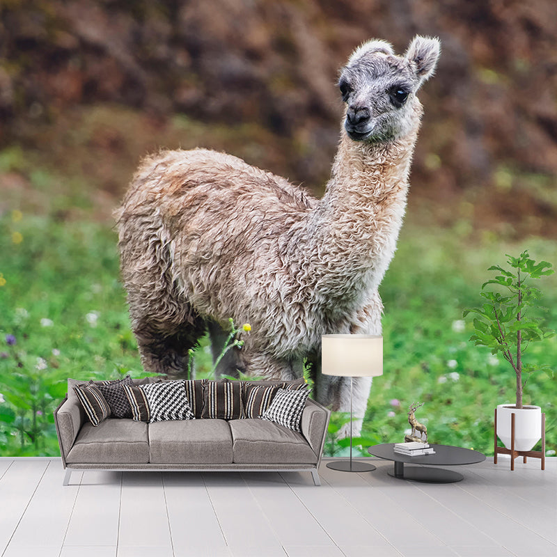Lovely Alpaca Mural Wallpaper Contemporary Style Wall Covering for Living Room