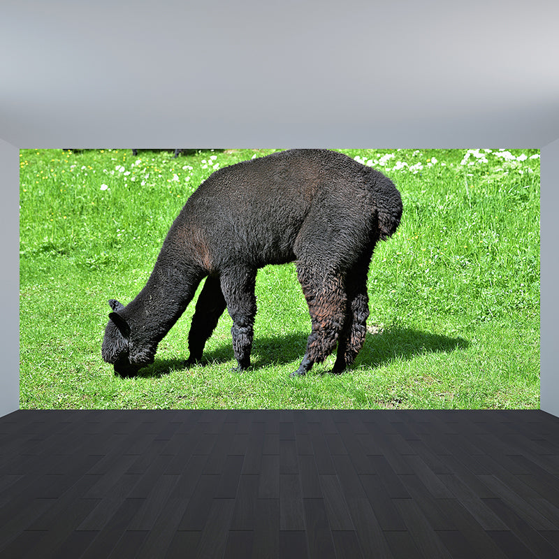 Lovely Alpaca Mural Wallpaper Contemporary Style Wall Covering for Living Room