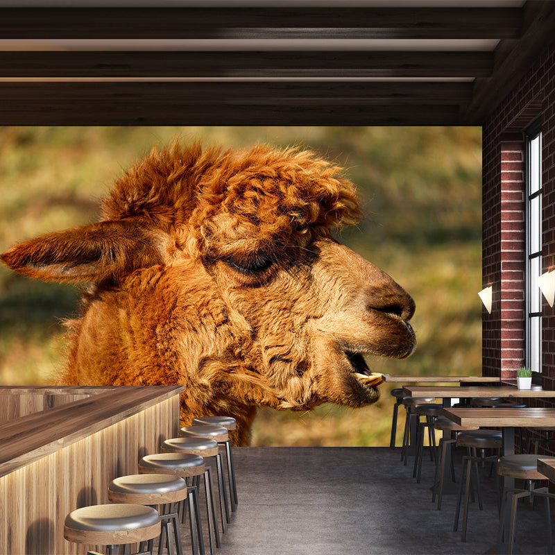 Alpaca Portrait Mural Wallpaper Contemporary Style Wall Covering for Living Room