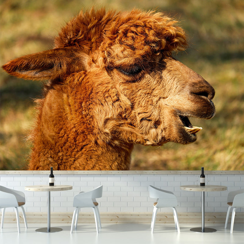 Alpaca Portrait Mural Wallpaper Contemporary Style Wall Covering for Living Room
