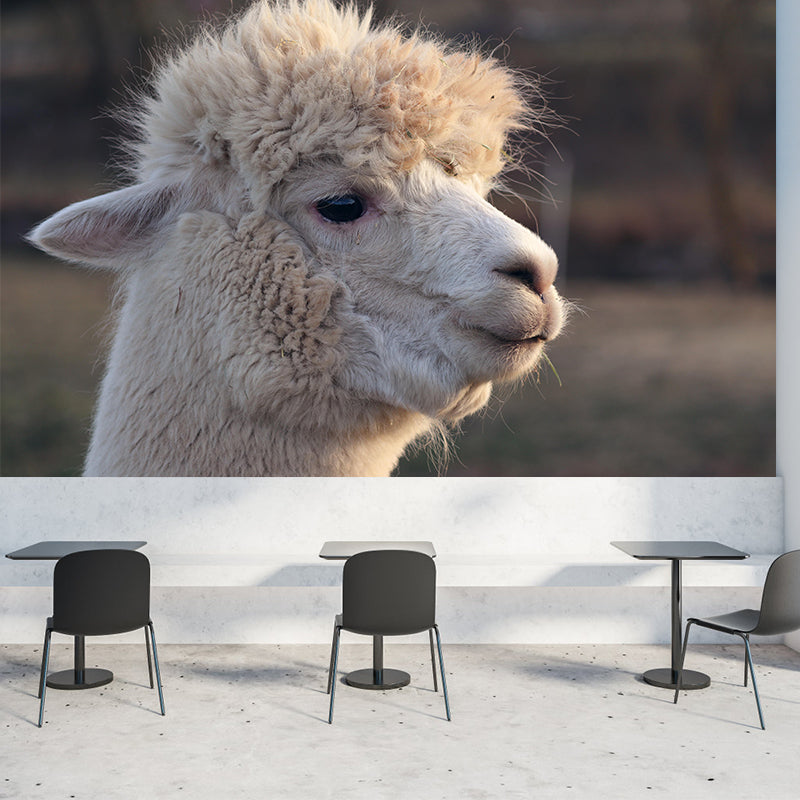 Alpaca Portrait Mural Wallpaper Contemporary Style Wall Covering for Living Room