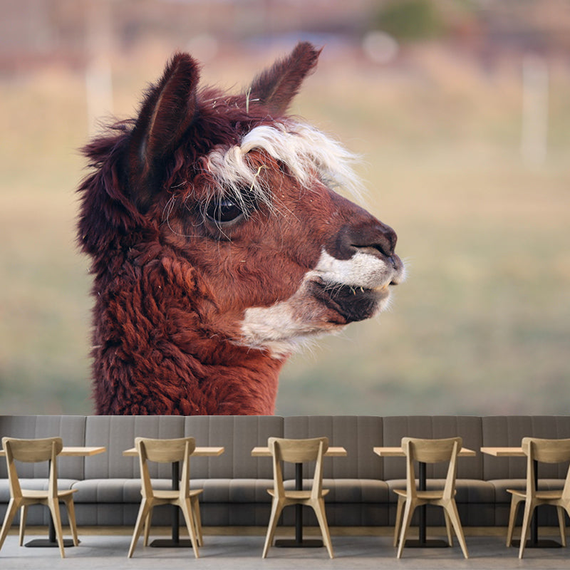 Alpaca Portrait Mural Wallpaper Contemporary Style Wall Covering for Living Room