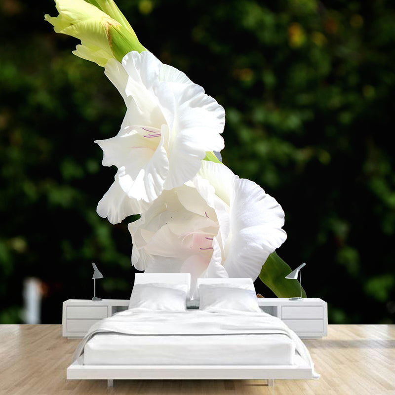 Romantic Gladiolus Murals Wallpaper Modern Wall Covering Decorative girls Room Mural