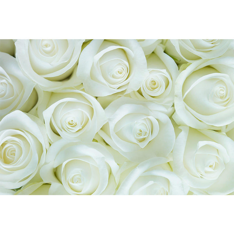 Beautiful Roses Wall Covering for Living Room Contemporary Moisture-Resistant Mural