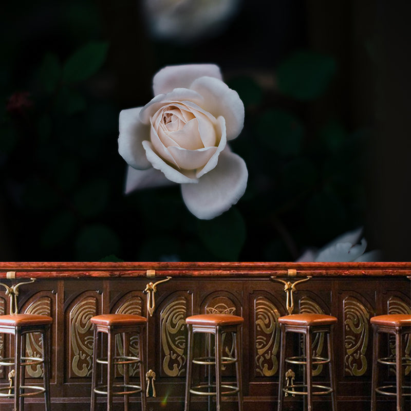 Photography Style Rose Blossom Mural Wallpaper Modern Wall Covering for Living Room