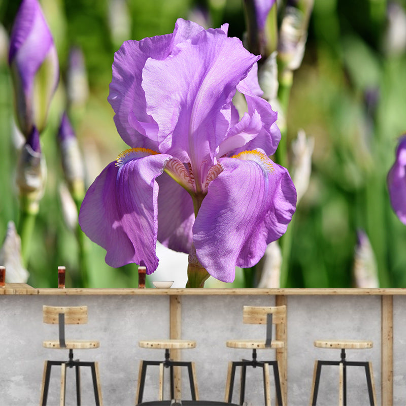 Customized Iris-Flower Mural Wallpaper Modern Wall Covering for Accent Wall