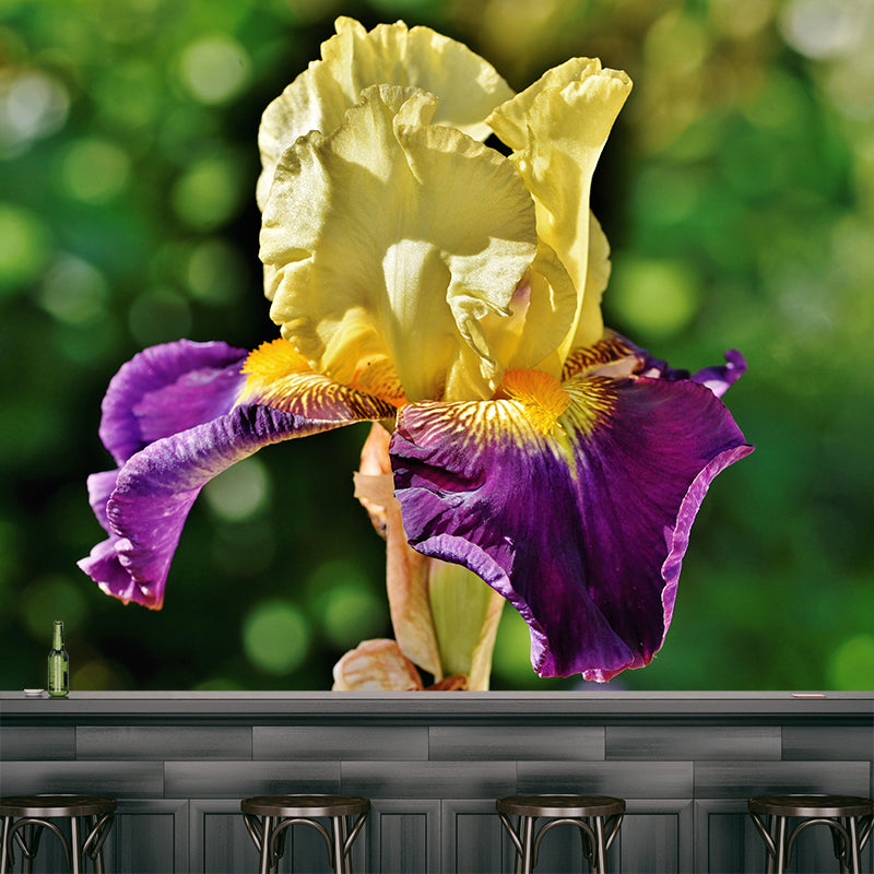 Customized Iris-Flower Mural Wallpaper Modern Wall Covering for Accent Wall