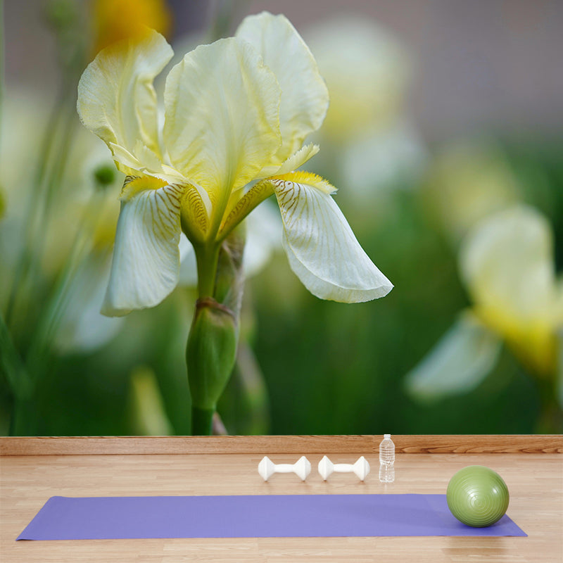 Customized Iris-Flower Mural Wallpaper Modern Wall Covering for Accent Wall