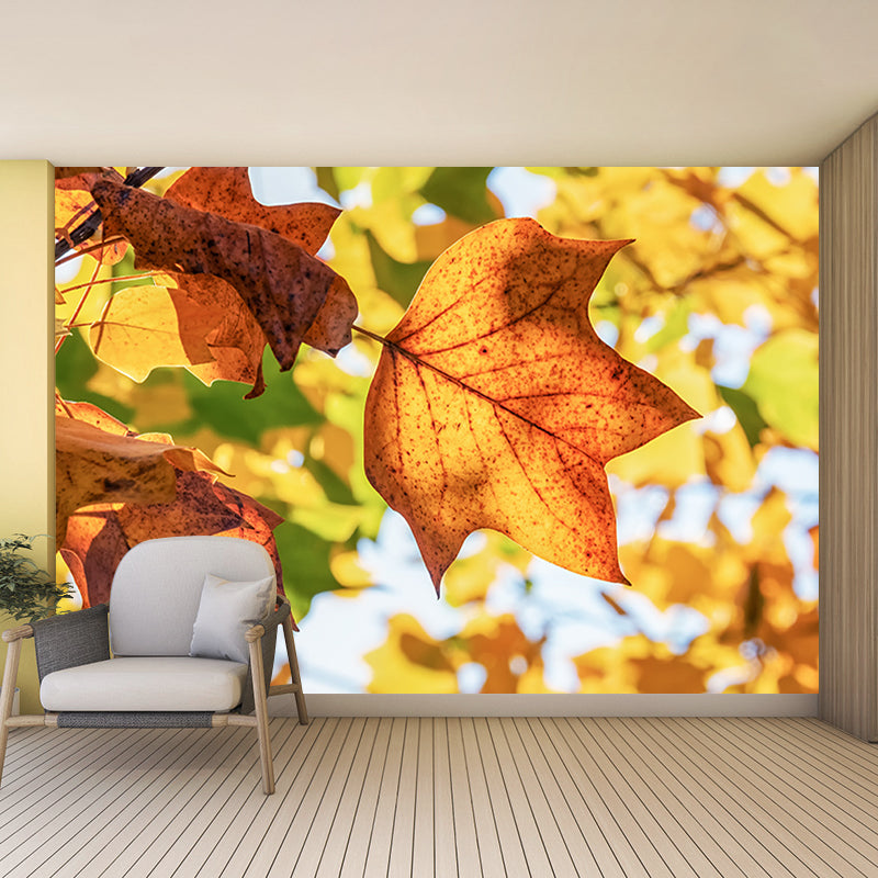 Autumn Leaves Mural Decal Waterproofing Wall Decor for Sitting Room Bedroom