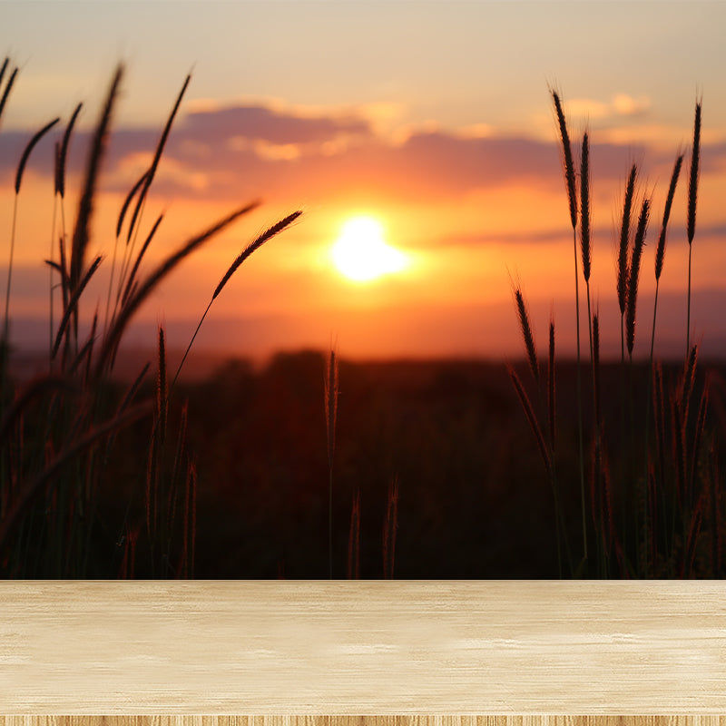 Beautiful Sky Sunset View Wall Mural Decal for Sitting Room, Made to Measure