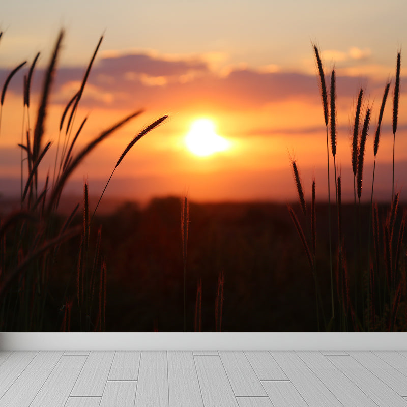 Beautiful Sky Sunset View Wall Mural Decal for Sitting Room, Made to Measure