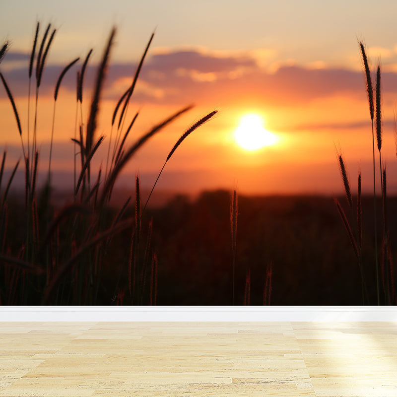 Beautiful Sky Sunset View Wall Mural Decal for Sitting Room, Made to Measure