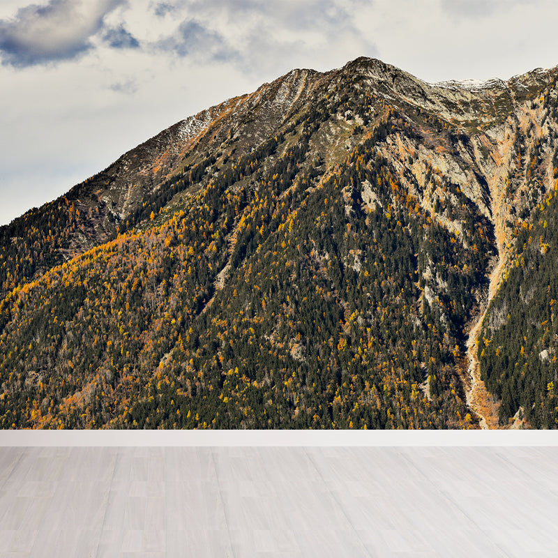 Mountain Landscape Wallpaper Mural Water Resistant Modern Living Room Wall Art