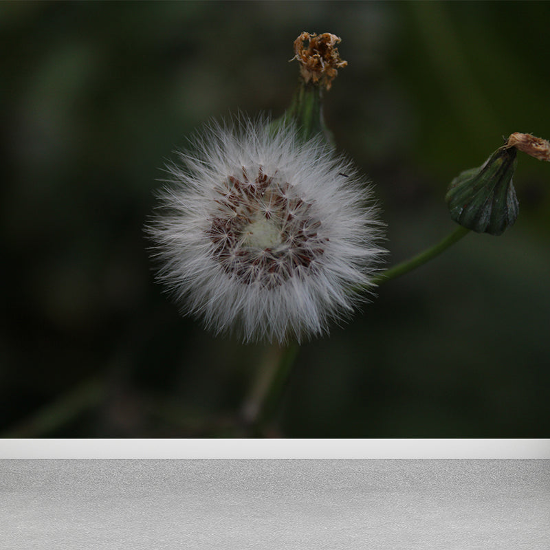 Modernism White Plant Mural Wallpaper Water Resistant, Made to Measure