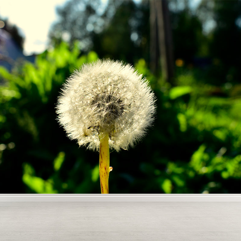 Modernism White Plant Mural Wallpaper Water Resistant, Made to Measure