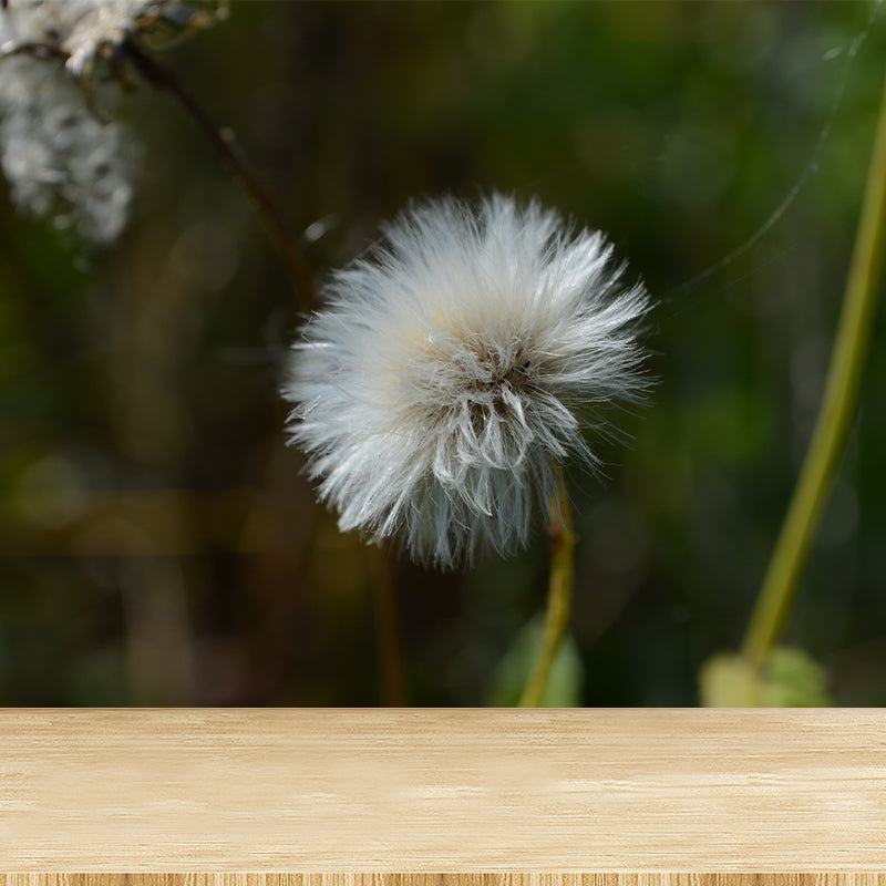 White Plant Modernist Wall Mural Decal Stain Resistant, Made to Measure