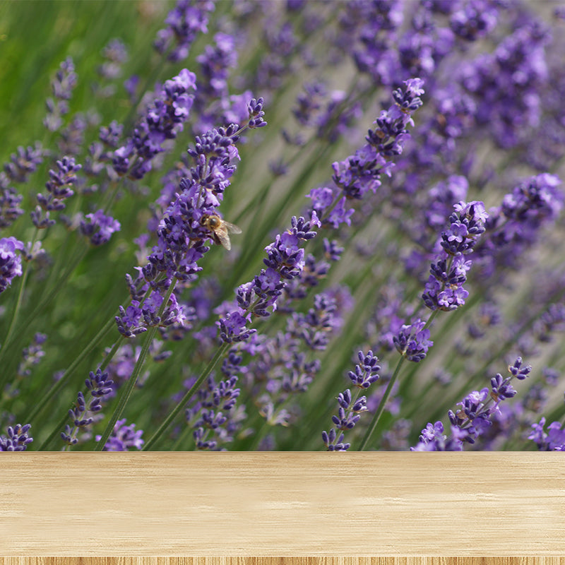 Purple Lavender Mural Wallpaper Modernism Wall Art for Home, Made to Measure