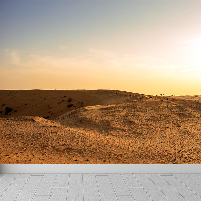 Contemporary Style Desert Mural Decal Water Resistant, Made to Measure