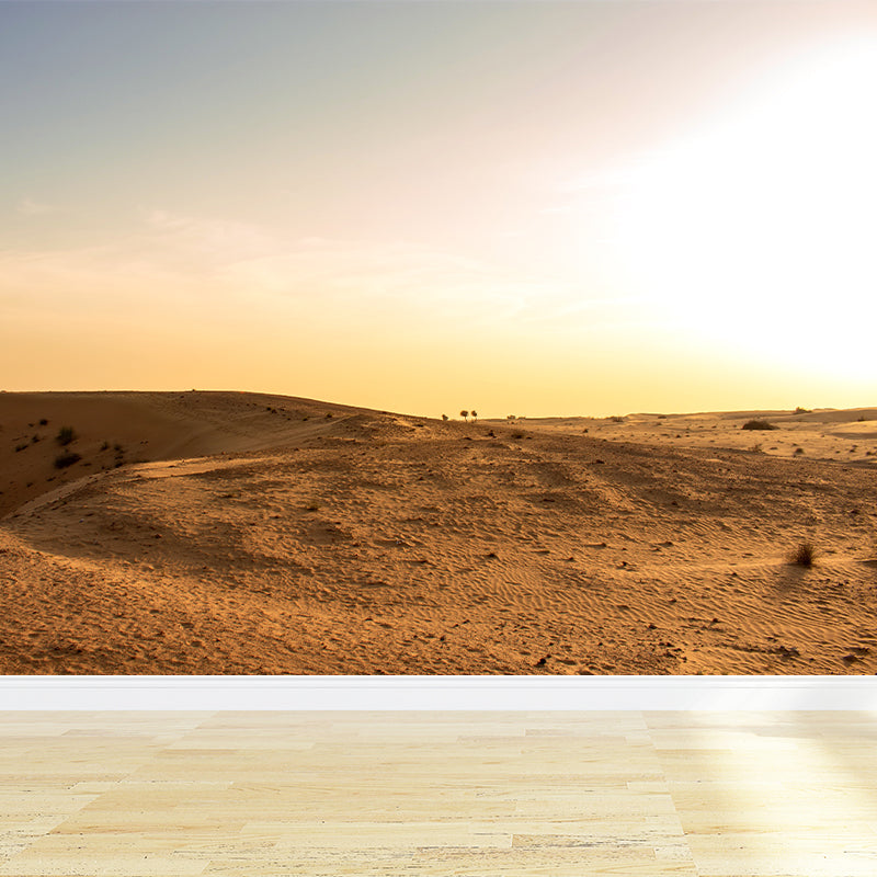 Contemporary Style Desert Mural Decal Water Resistant, Made to Measure