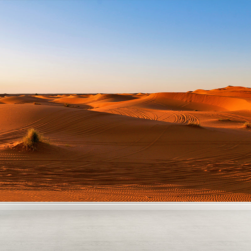 Contemporary Style Desert Mural Decal Water Resistant, Made to Measure