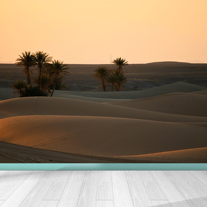 Contemporary Style Desert Mural Decal Water Resistant, Made to Measure