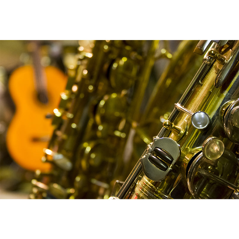 Modern Musical Instrument Wall Mural Decal Full Size, Moisture Resistant