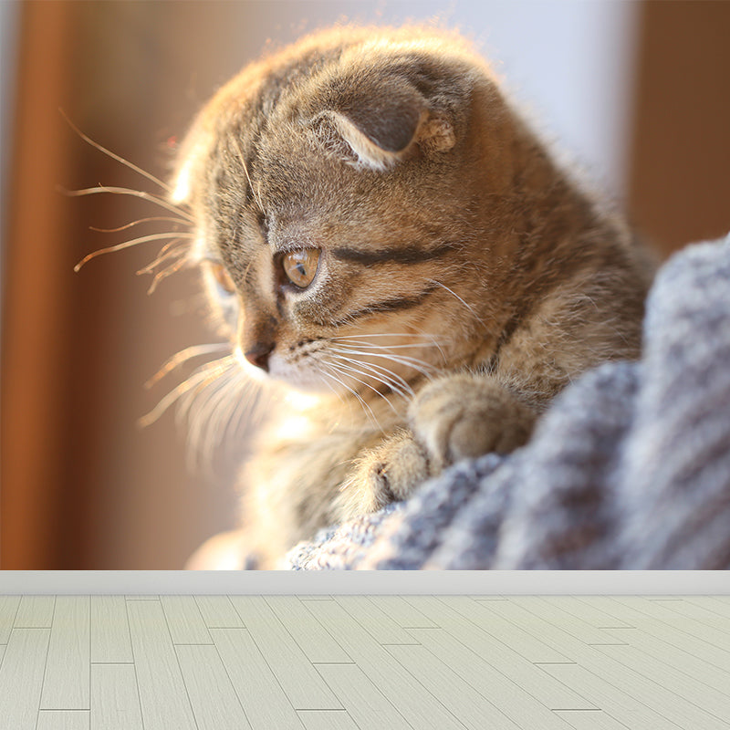 Full Size Cat Wall Covering for Sitting Room Water Resistant Wall Mural Decal