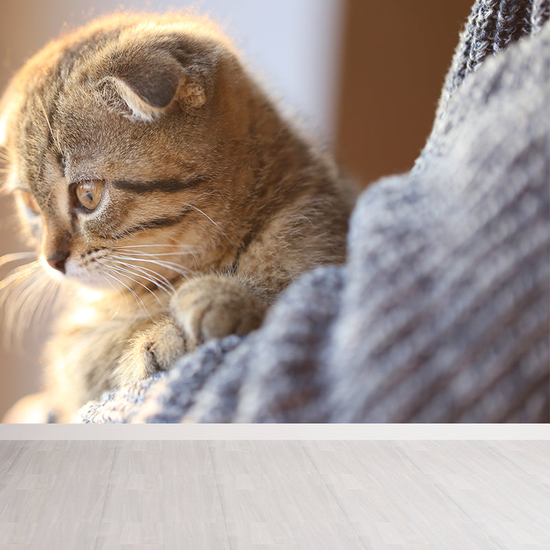 Full Size Cat Wall Covering for Sitting Room Water Resistant Wall Mural Decal