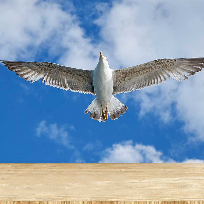 Seagull Wall Paper Murals for Home Blue and White, Custom Size Available