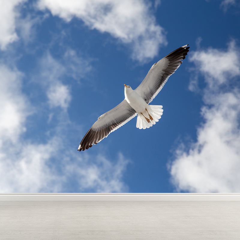 Seagull Wall Paper Murals for Home Blue and White, Custom Size Available