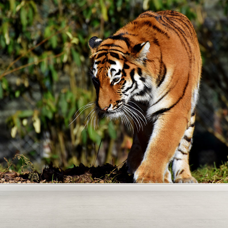 Cool Tiger Wall Paper Murals Waterproof Sitting Room Wall Decor, Custom Size Available