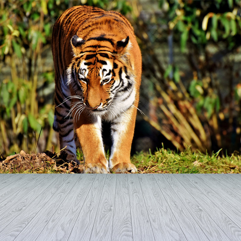 Cool Tiger Wall Paper Murals Waterproof Sitting Room Wall Decor, Custom Size Available