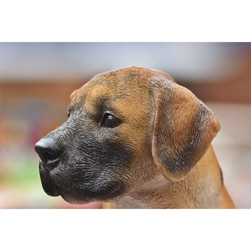 Lovely Dog Murals Wallpaper Water Resistant Wall Decor for Sitting Room