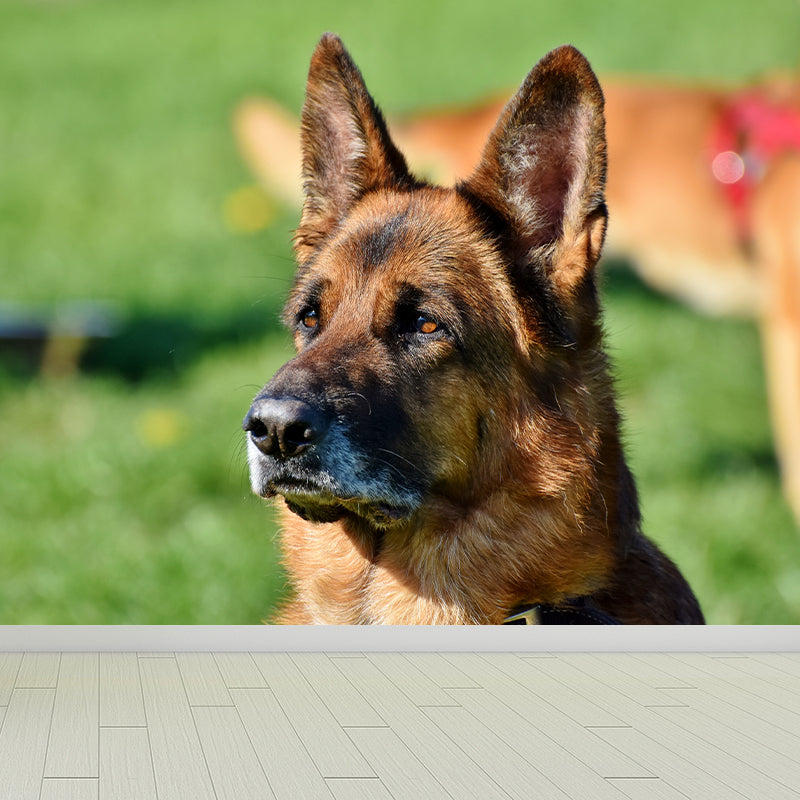 Lovely Dog Murals Wallpaper Water Resistant Wall Decor for Sitting Room