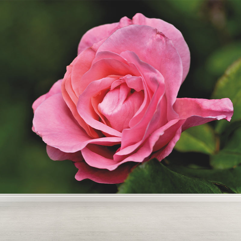 Beautiful Flower Mural Wallpaper Gust Room Decorative Wall Art, Personalized Size Available