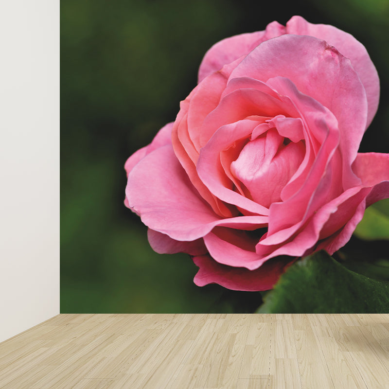 Beautiful Flower Mural Wallpaper Gust Room Decorative Wall Art, Personalized Size Available
