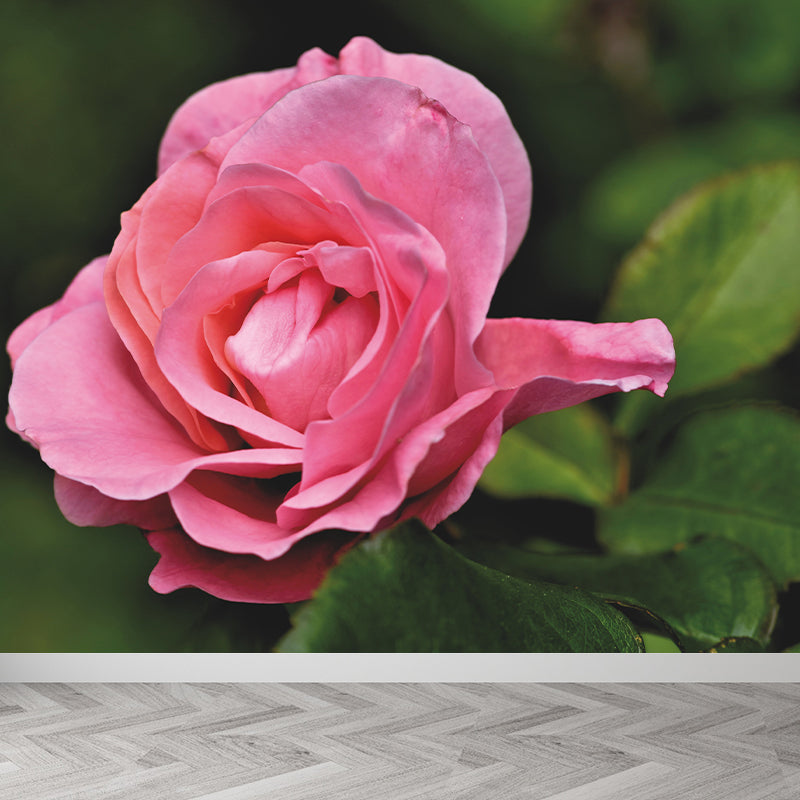 Beautiful Flower Mural Wallpaper Gust Room Decorative Wall Art, Personalized Size Available