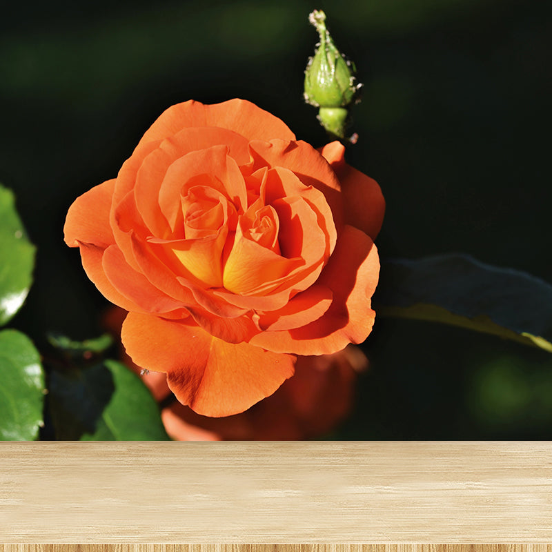 Elegant Rose Mural Wallpaper Custom-Made Wall Covering for Sleepiing Room