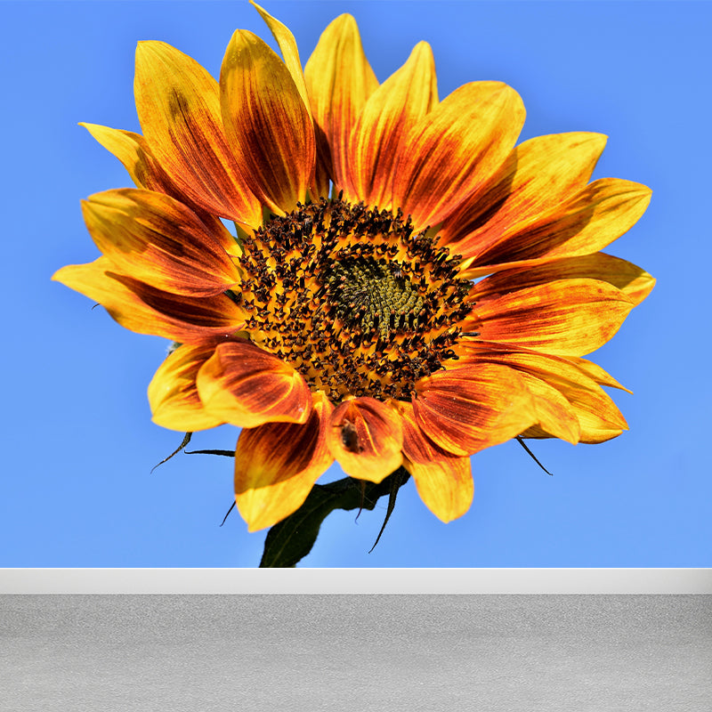 Beautiful Sunflower Mural Wallpaper Custom-Made Wall Covering for Girl Room