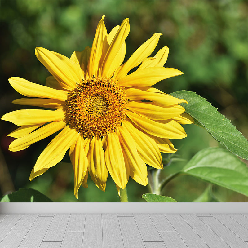 Beautiful Sunflower Mural Wallpaper Custom-Made Wall Covering for Girl Room