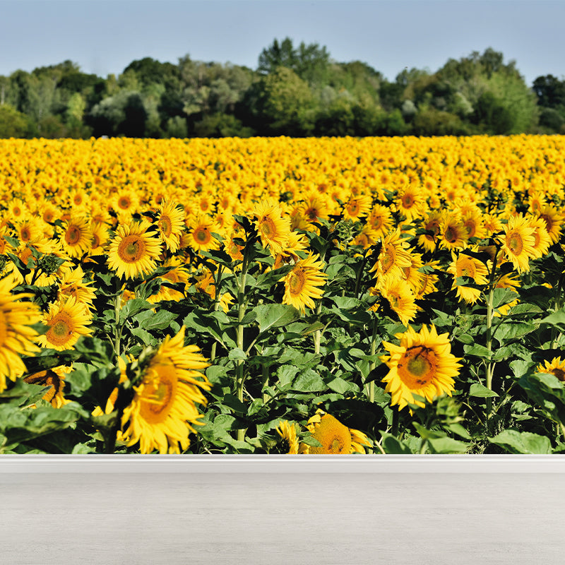 Beautiful Sunflower Mural Wallpaper Custom-Made Wall Covering for Girl Room