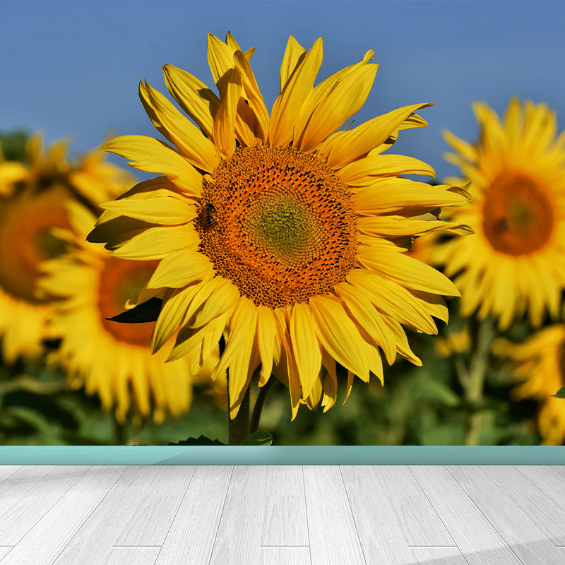 Beautiful Sunflower Mural Wallpaper Custom-Made Wall Covering for Girl Room
