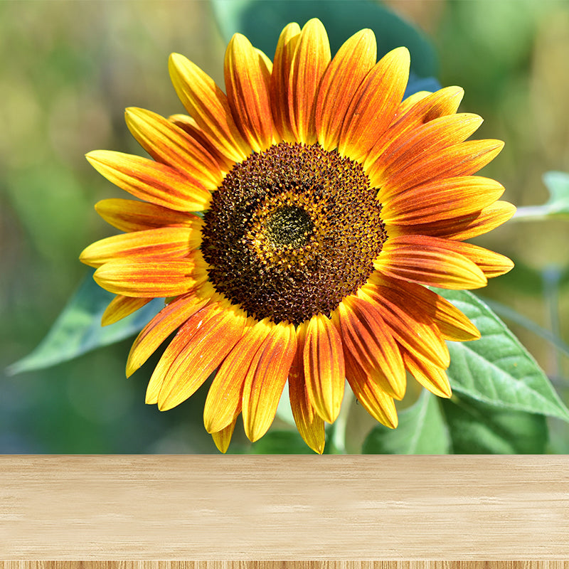 Yellow Sunflower Scenery Mural Wallpaper for Meeting Room Decoration, Washable