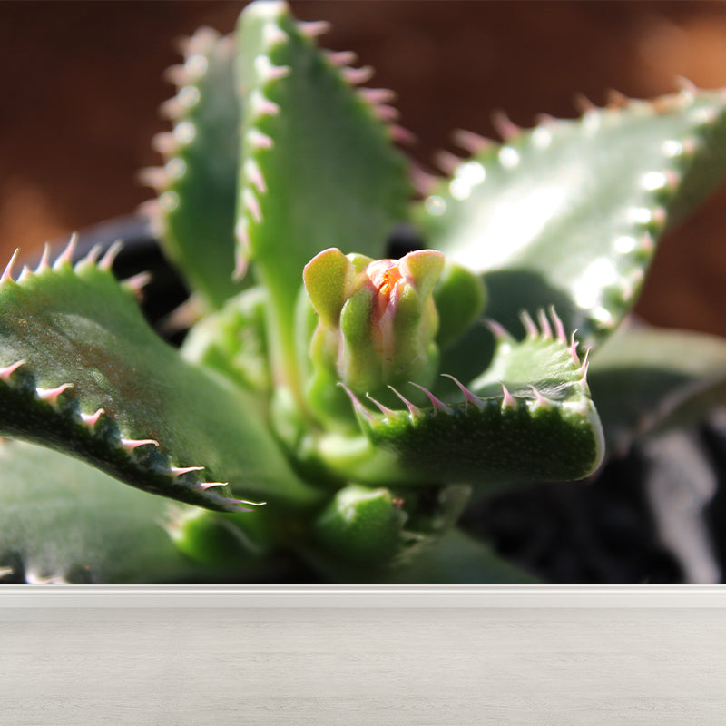 Green Plant Mural Wallpaper for Study Room Bedroom Home Decor, Personalized Size Available