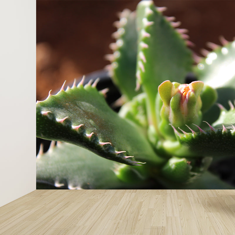 Green Plant Mural Wallpaper for Study Room Bedroom Home Decor, Personalized Size Available