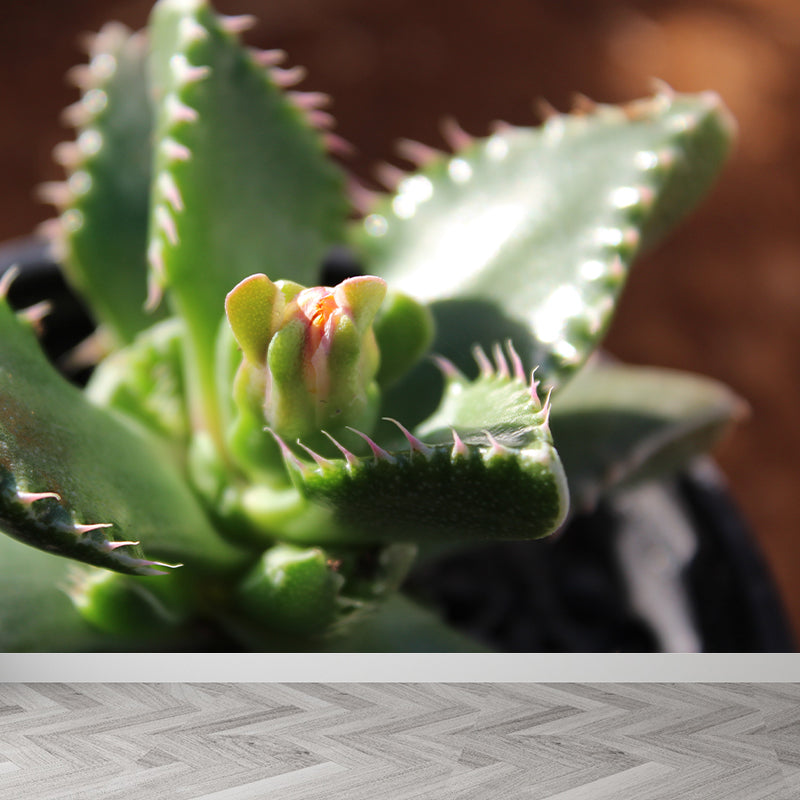 Green Plant Mural Wallpaper for Study Room Bedroom Home Decor, Personalized Size Available