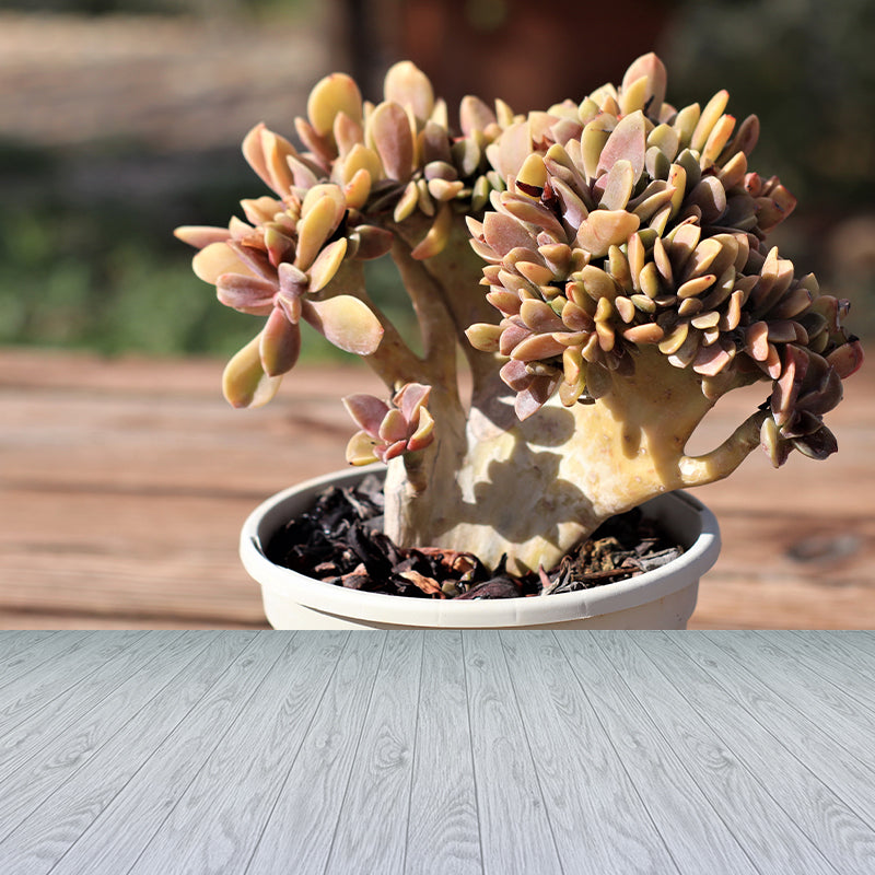 Tropical Green Plant Wall Mural for Bar Decoration Waterproof, Customized Size