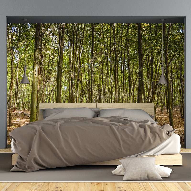 Forest Tree Wall Mural Modern Water Resistant Wall Decor in Soft Color